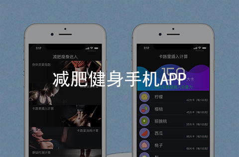 減肥健身APP開發案例（河北APP制作案例）